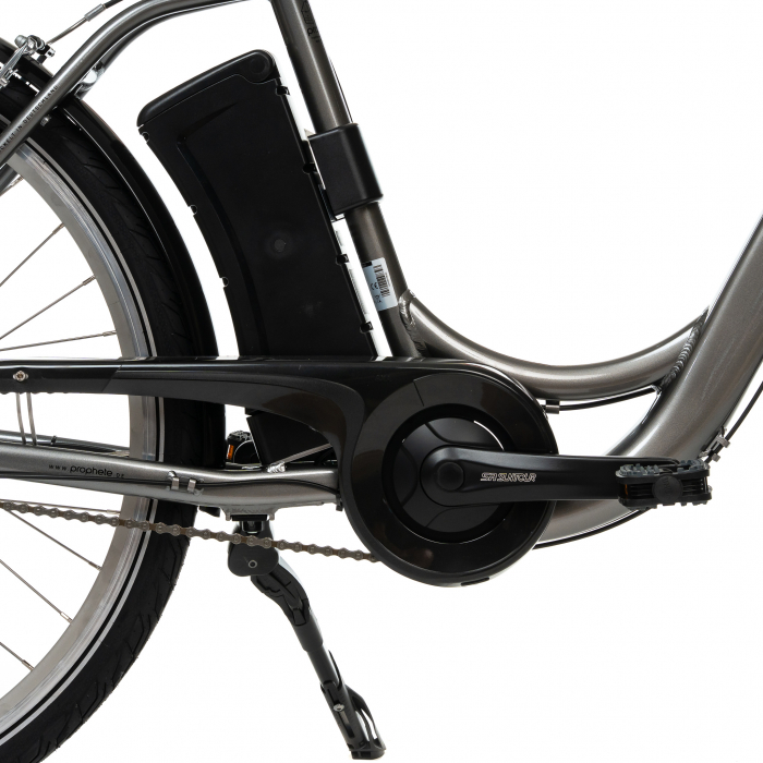 Electric Bike Prophete 52562 - 28 Inch, M, Grey [7]
