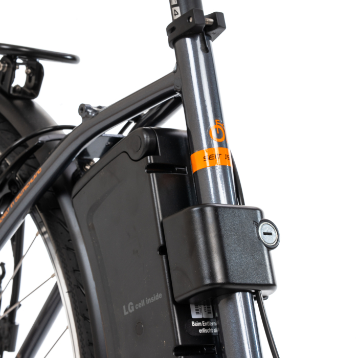 E-Bike Prophete 54830 – 28 Zoll, M, grau [9]