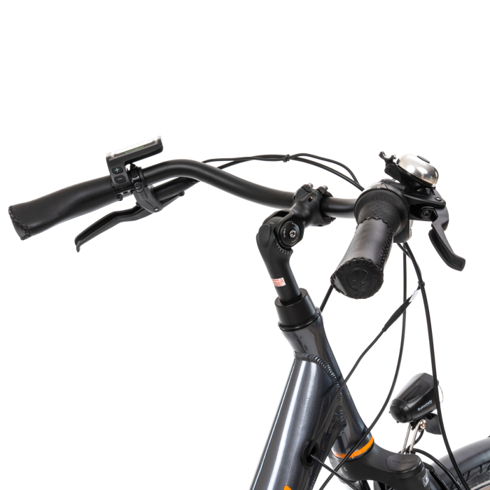 E-Bike Prophete 54830 – 28 Zoll, M, grau [7]