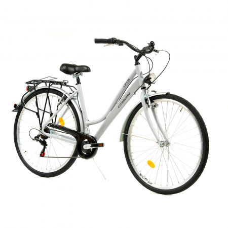 Citybike Dhs City 28001 - 28 Zoll, L, Argintiu [1]