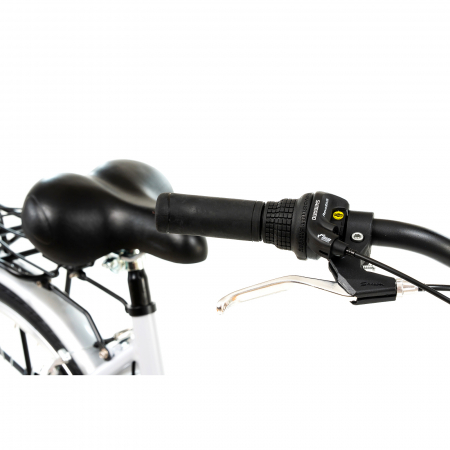 Citybike Dhs City 28001 - 28 Zoll, L, Argintiu [5]