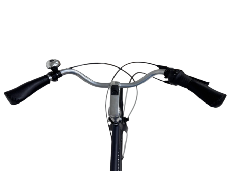 City Fahrrad Kieler - 28 Zoll, XL, Grau [2]