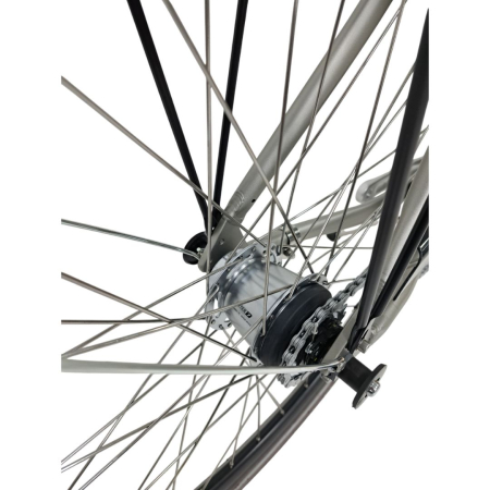 City Fahrrad Stella 28080 - 28 Zoll, XL, Grau [5]