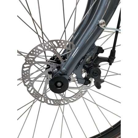 City Fahrrad Stella 28080 - 28 Zoll, XL, Weiß-Grau [6]