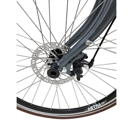 City Fahrrad Stella 28082 - 28 Zoll, XL, Grau [5]