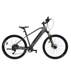 Bikes - Electric Bike Corwin 28162 – 28 Inch, 450mm, Grey