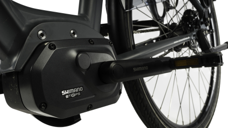 Electric Bike Corwin 28428 - 28 Inch, M, Blue [5]