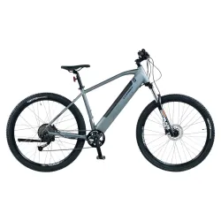 Folding E-Bikes - Electric Bike Corwin 29223 – 29 Inch, M, Grey