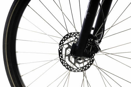 Elektrofahrrad Devron 28162 - 28 Inch, L, Grau [5]