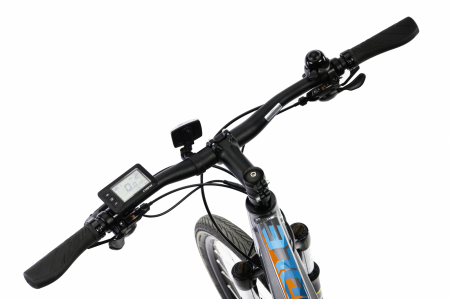 Elektrofahrrad Devron 28162 - 28 Inch, L, Grau [4]
