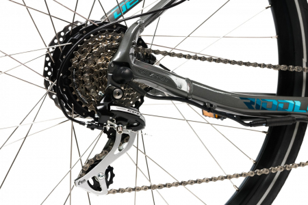 Elektrofahrrad Devron 28162 - 28 Inch, M, Grau [6]