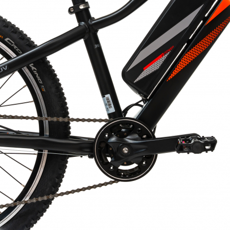 Elektrofahrrad Prophete 51721 - 24 Inch, S, Schwarz [6]