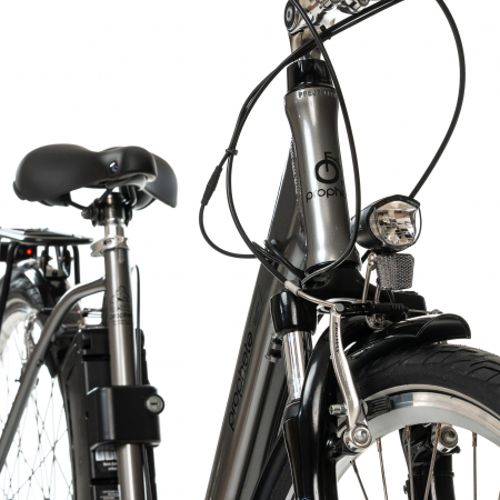 Electric Bike Prophete 52562 - 28 Inch, M, Grey [7]