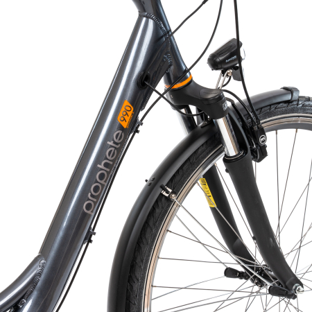 E-Bike Prophete 54830 – 28 Zoll, M, grau [11]