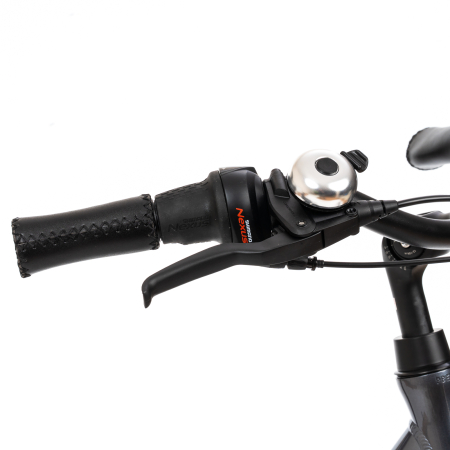 E-Bike Prophete 54830 – 28 Zoll, M, grau [10]