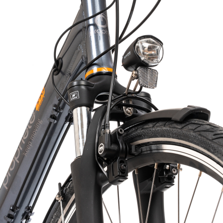 E-Bike Prophete 54830 – 28 Zoll, M, grau [5]