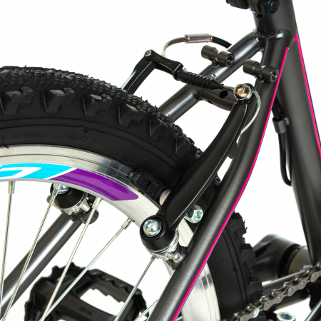 Bicicleta Copii DHS Modesty - 24 Inch, Gri [8]