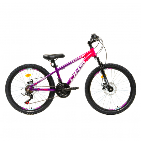 Bikes - Kids Bike Dhs Terrana 2423 - 24 Inch, Purple/Pink