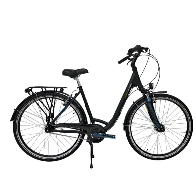 Bici da Citta & Urbana - Bicicletta da Città Kieler – 28 Pollici, M, Grigio Scuro