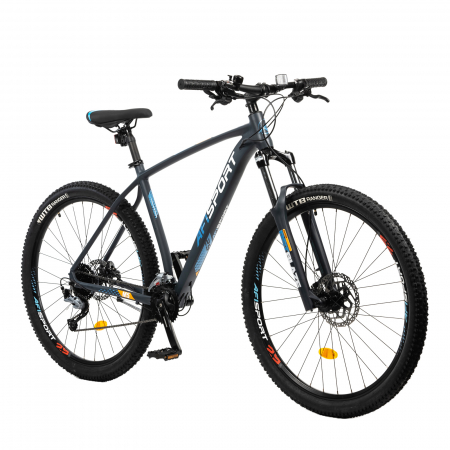 MTB Fahrrad Afisport M5 - 29 Zoll, L, Gri [1]