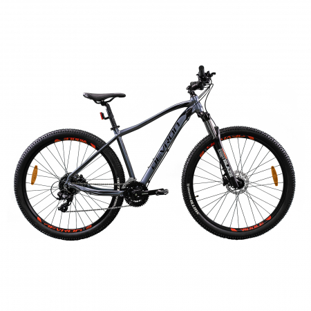 Fahrräder - MTB Fahrrad Devron Riddle 2023 RM1.9 - 29 Zoll, M, Gri