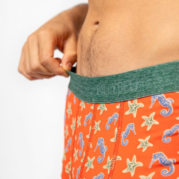 Boxeri bumbac 100% organic, model Seahorse - diverse marimi [2]