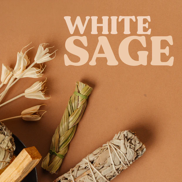 Cutie 25 betisoare de tamaie Magic Ritual [4]