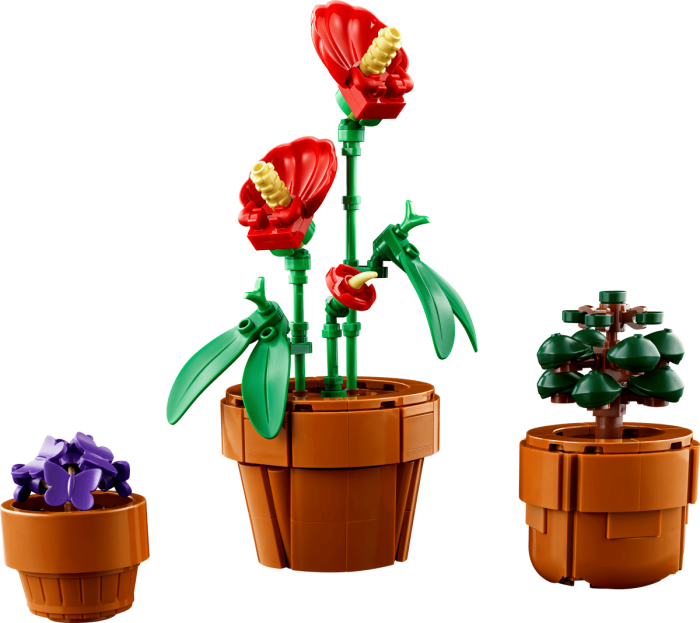 LEGO Botanicals 10329 Plante de mici dimensiuni [7]
