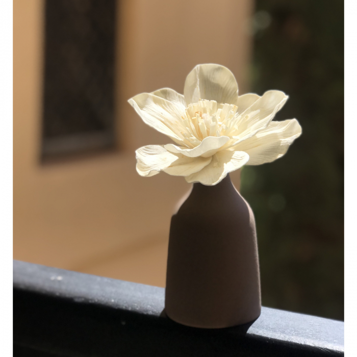 Pachet Difuzor vaza si parfum Woody Mystery [3]
