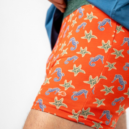 Boxeri bumbac 100% organic, model Seahorse - diverse marimi [2]