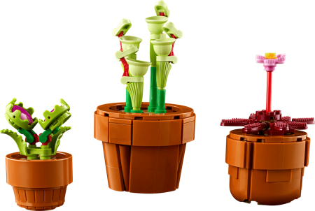 LEGO Botanicals 10329 Plante de mici dimensiuni [4]