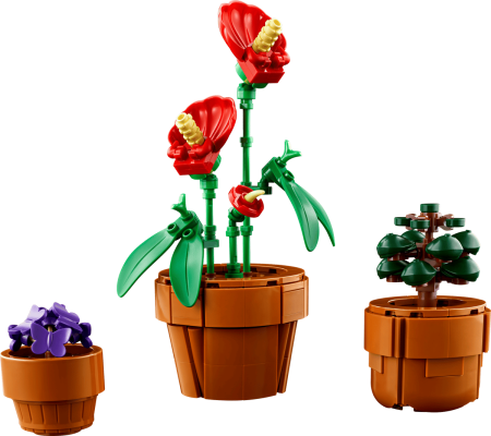 LEGO Botanicals 10329 Plante de mici dimensiuni [6]