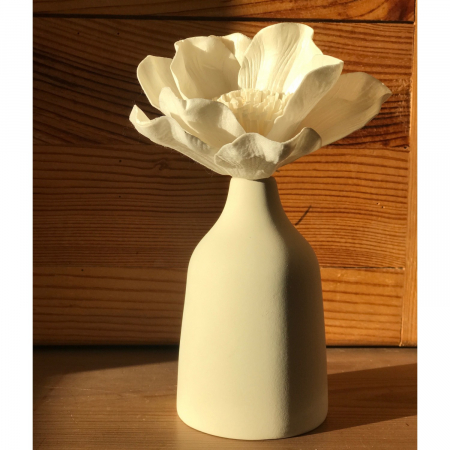 Pachet Difuzor vaza si parfum Mandarin des Thés [1]