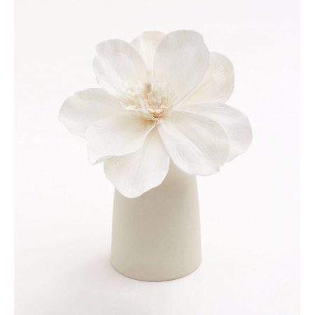 Pachet Difuzor vaza si parfum Mandarin des Thés [5]