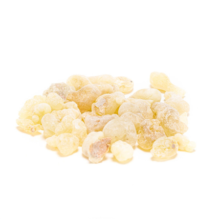 Tamaie verde Oman Boswellia Sacra [1]