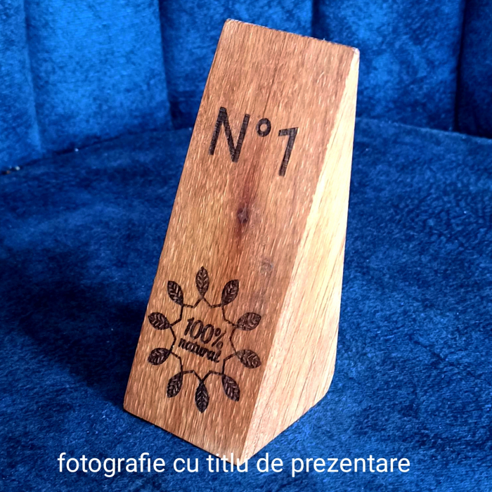 expozor lemn masiv stejar [3]