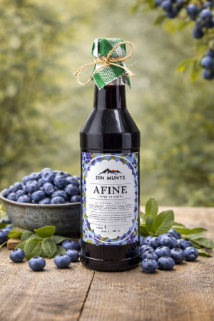 Sirop de afine cu miere [1]