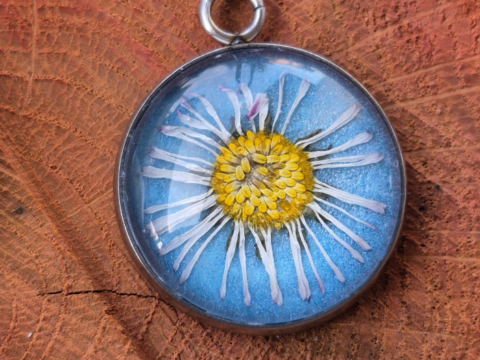 cercei-flori-naturale-sticla-inox-banutei-in-azur [3]