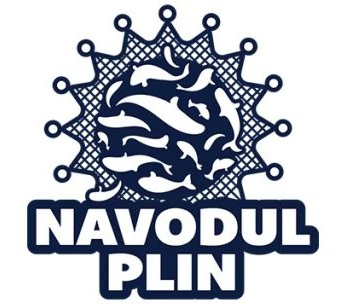 Navodul Plin