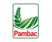 Pambac