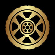 Profesionişti şi Entuziaşti