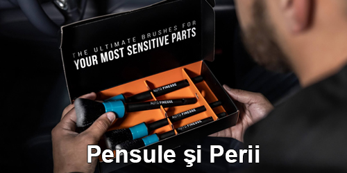 Pensule şi Perii