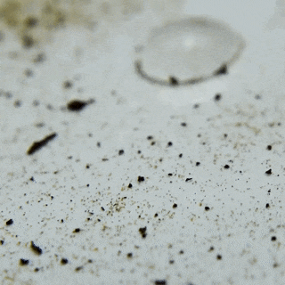 Feynlab® Ceramic by Paul Dalton [6]