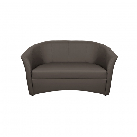 Canapea fixa CAF145, 2 locuri, piele ecologica gri elefant, 145x60x80 cm