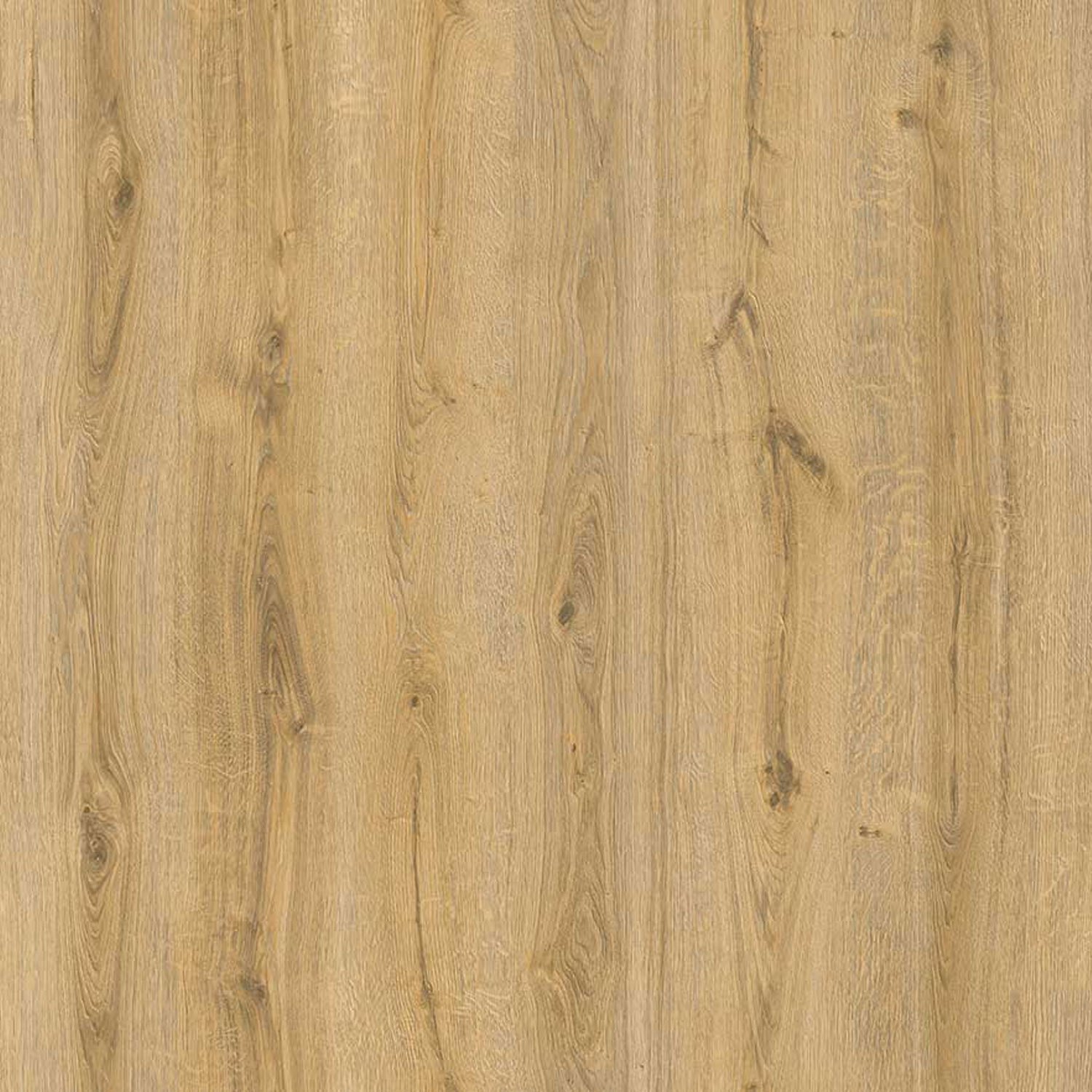 Parchet - Parchet laminat BL AKASYA 8 mm AC3 CL31, 2.2920 mp / cutie, bej - ExpoMob