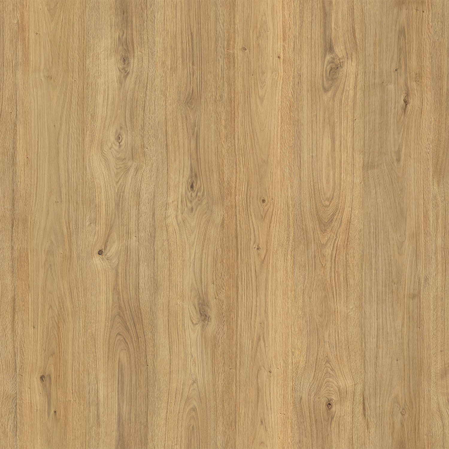Parchet - Parchet laminat AR SLIM TOSKANA 8MM AC4, 2.1942 mp / cutie, beige - ExpoMob