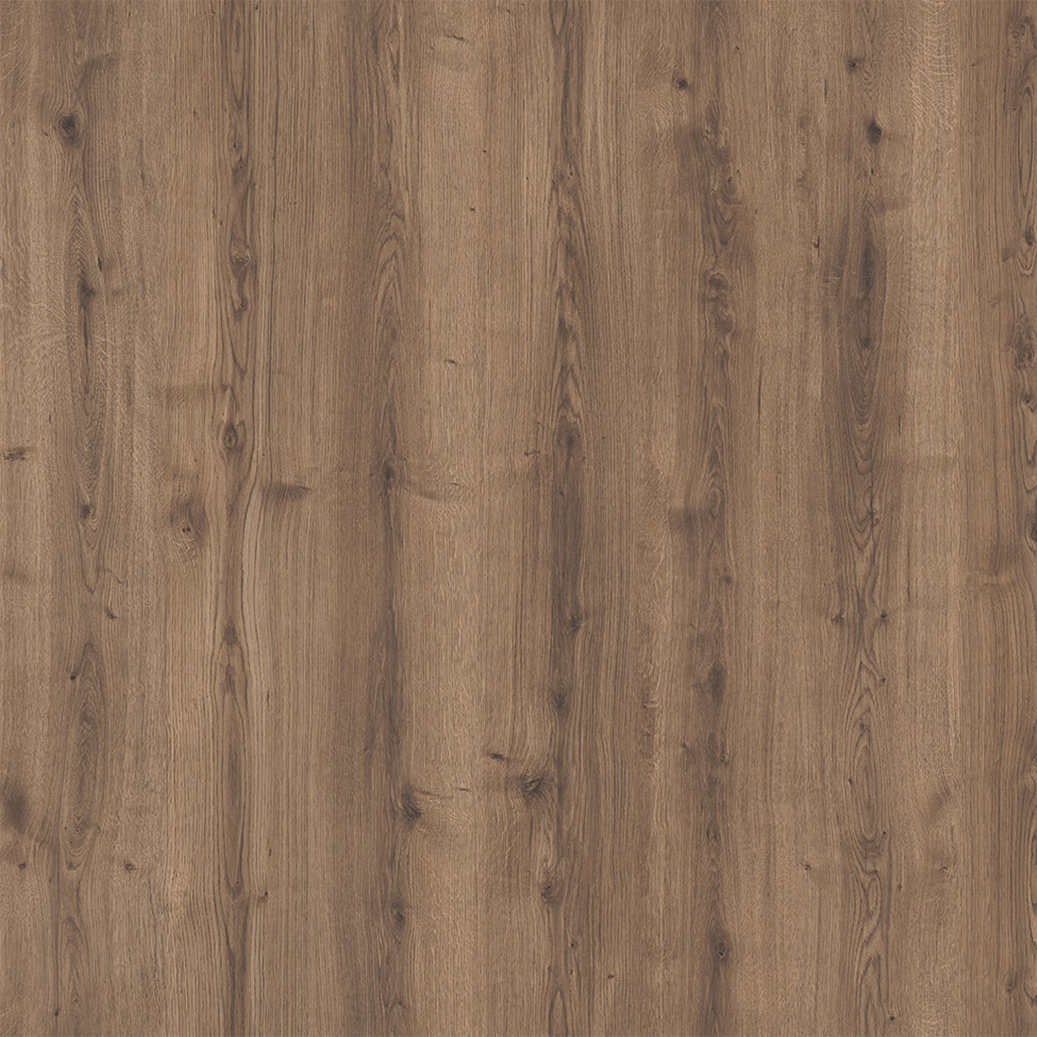 Parchet - Parchet laminat BL DEFNE 8 mm AC3 CL31, 2.2920 mp / cutie, maro - ExpoMob
