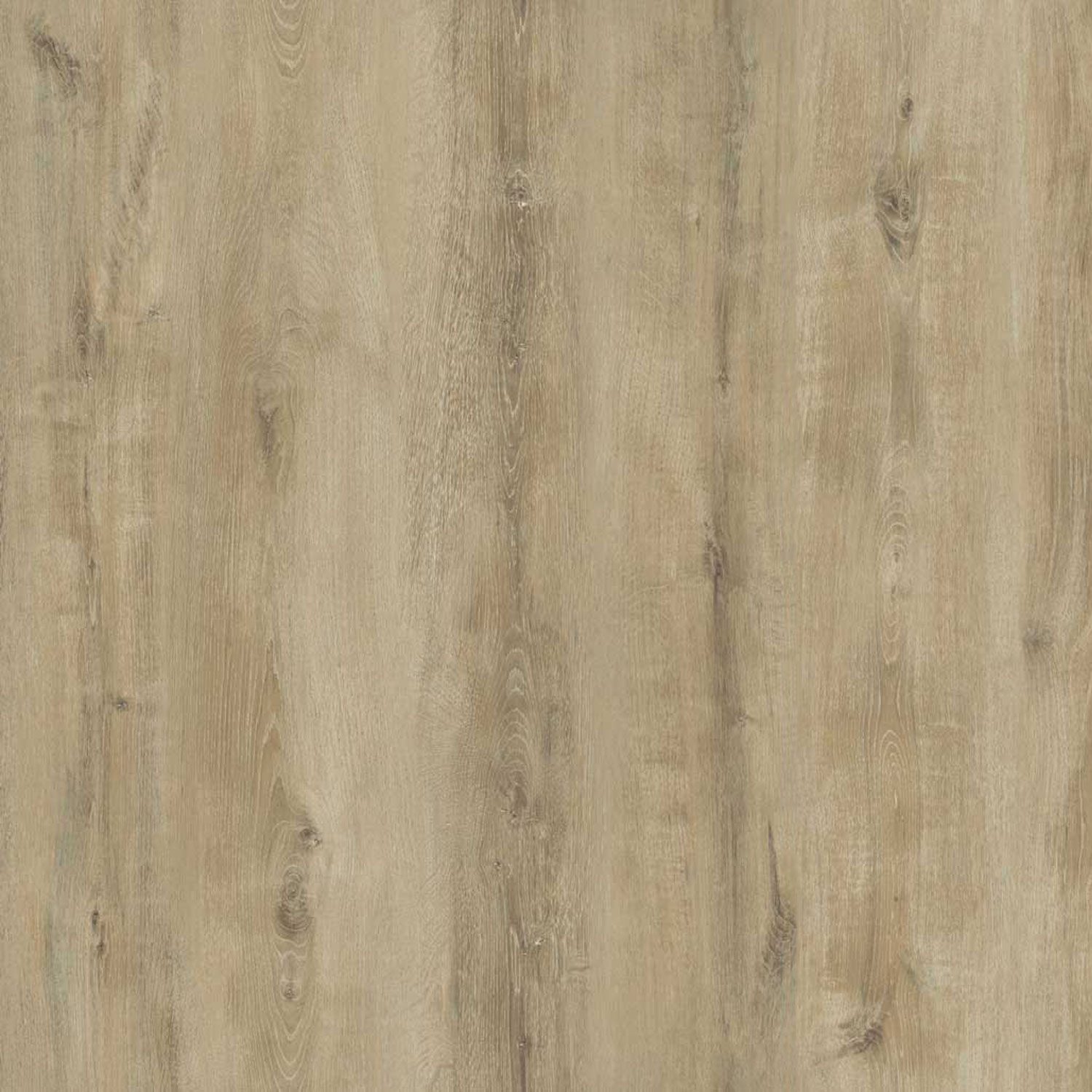 Parchet - Parchet laminat BL GARDENYA 8mm AC3 CL31, 2.2920 mp / cutie, beige - ExpoMob