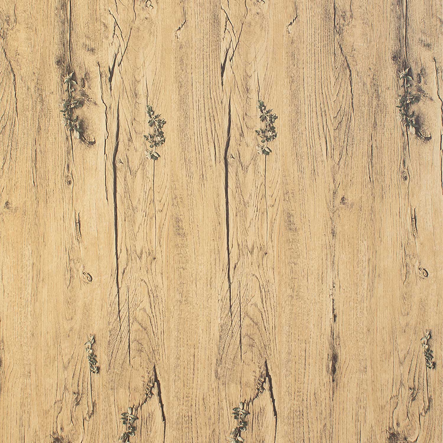 Parchet - Parchet laminat BL NATURA GREEN 8mm AC3 CL31, 2.2920 mp / cutie, beige - ExpoMob