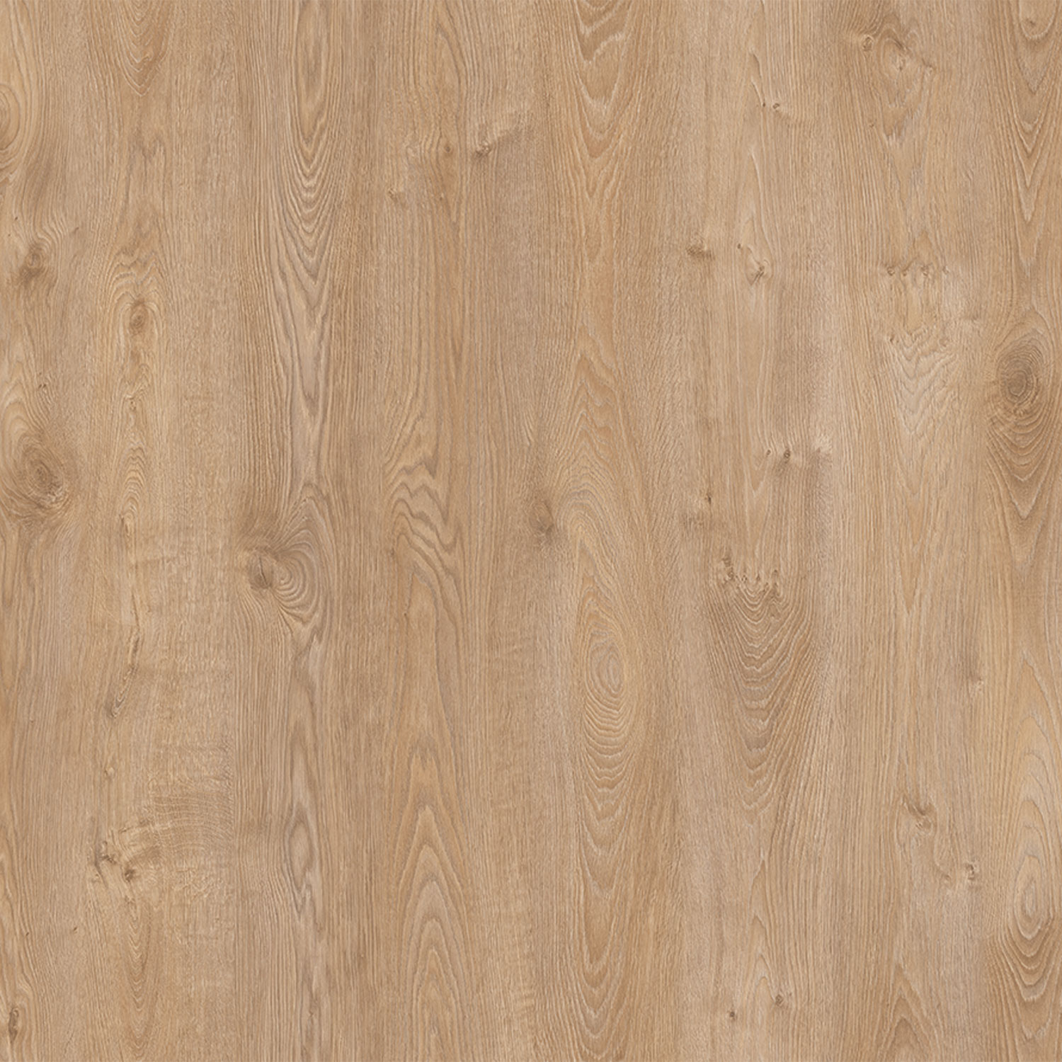 Parchet - Parchet laminat EF URAL 12MM AC5, 1.3551 mp / cutie, beige - ExpoMob